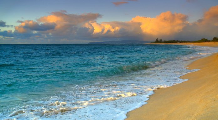 Hawaii Facts, Maps and Exotic Attractions to Visit with Family & Friends Hawaii Beaches