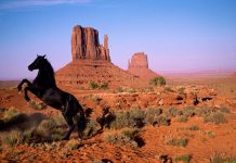 Utah Facts, Map, Capital, History, State Flag & Popular Attractions State Utah