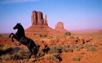 Utah Facts, Map, Capital, History, State Flag & Popular Attractions State Utah