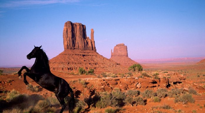 Utah Facts, Map, Capital, History, State Flag & Popular Attractions State Utah
